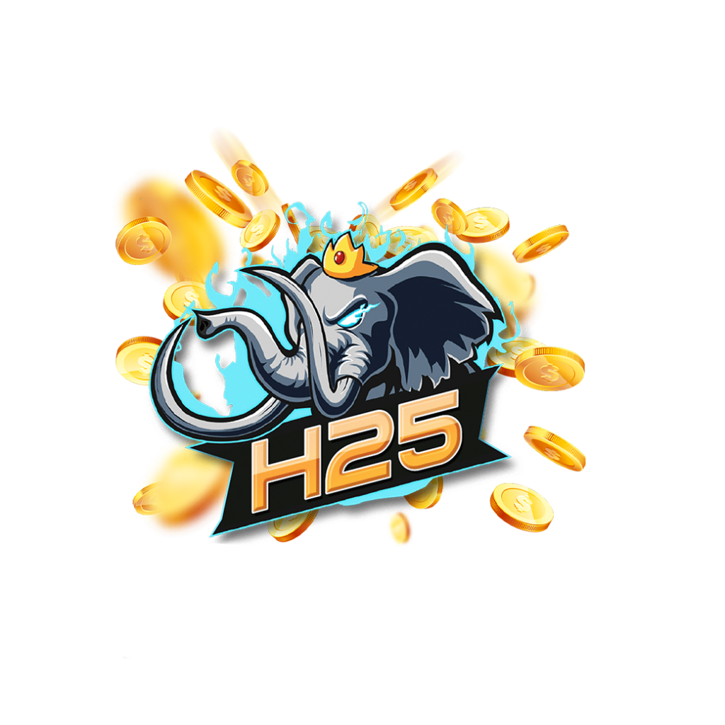 h25